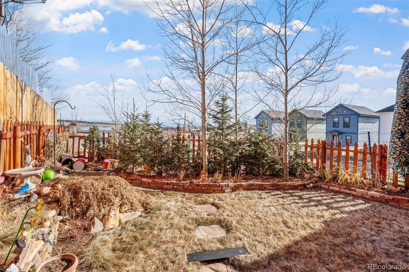 383 8th St, Fairplay, CO 80440