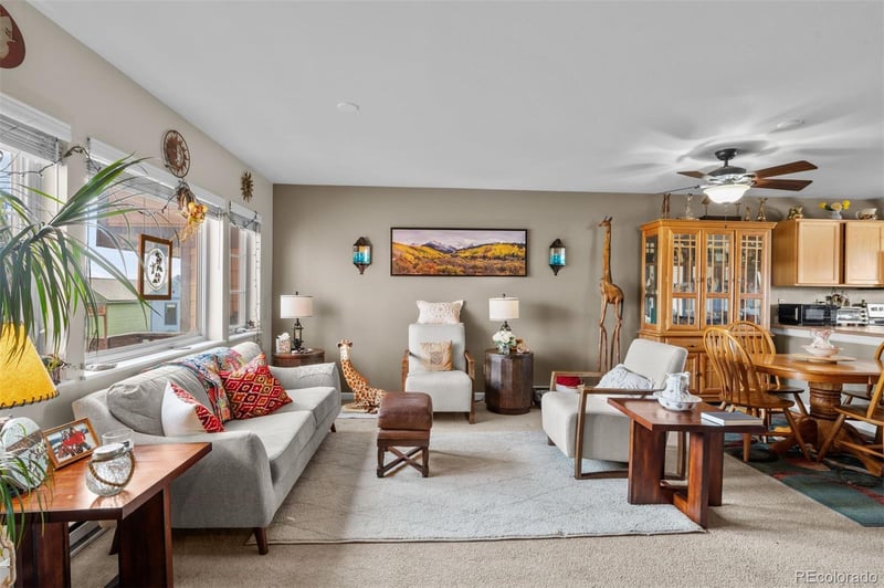 383 8th St, Fairplay, CO 80440