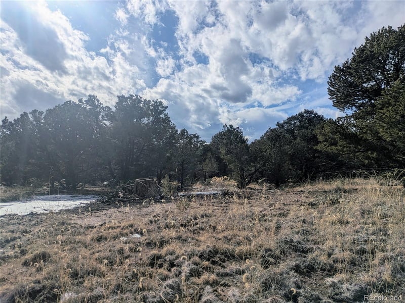 1463 Highwood , Crestone, CO 81131