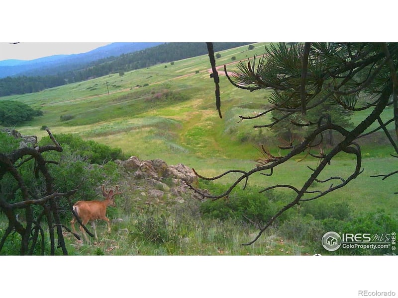 Cap Rock Roads #4, Canon City, CO 81212