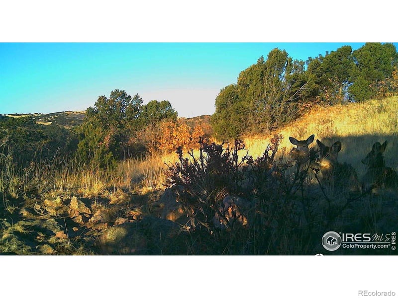 Cap Rock Roads #4, Canon City, CO 81212
