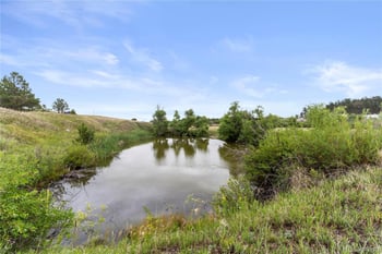 Cherry Creek Rd, Larkspur, CO 80118