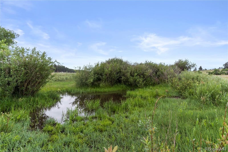 Cherry Creek Rd, Larkspur, CO 80118