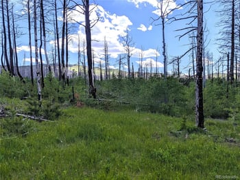 1590 Douglas Ln, Fort Garland, CO 81133