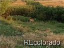 02 Cherry Creek Rd, Larkspur, CO 80118