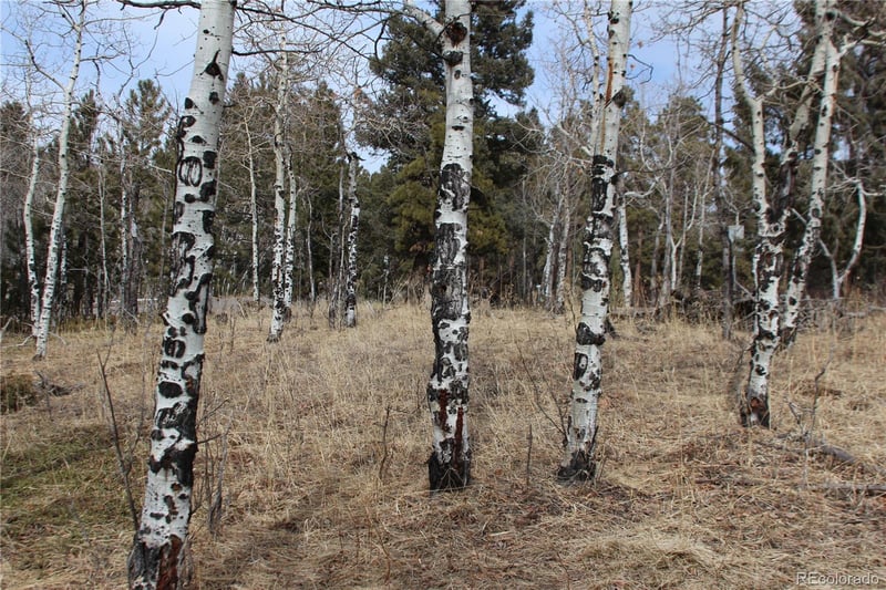 000 Richmond Hill Rd, Conifer, CO 80433