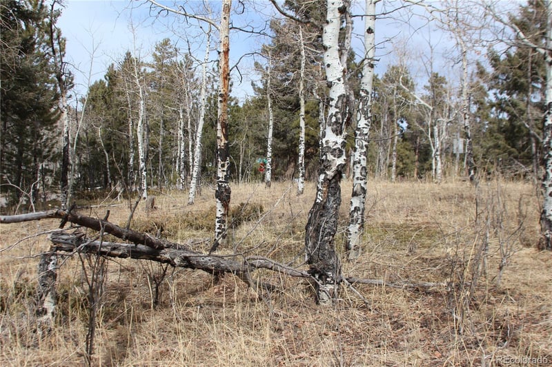 000 Richmond Hill Rd, Conifer, CO 80433