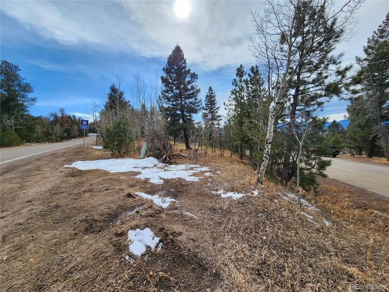 000 Richmond Hill Rd, Conifer, CO 80433