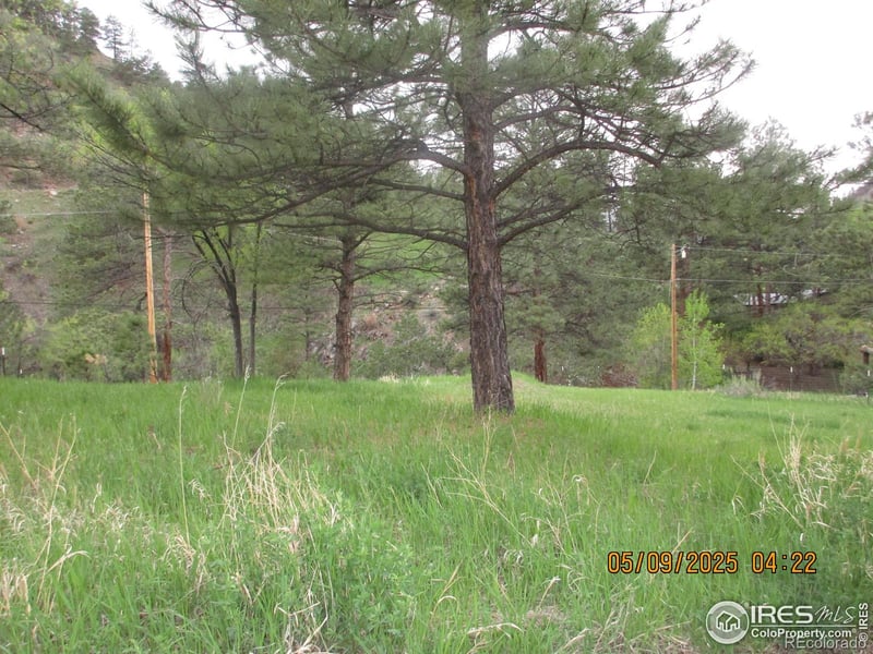 Tbd Bartram Park Rd, Loveland, CO 80537