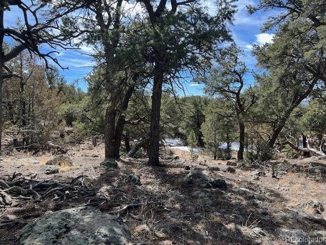 1286 Brookview Way, Crestone, CO 81131