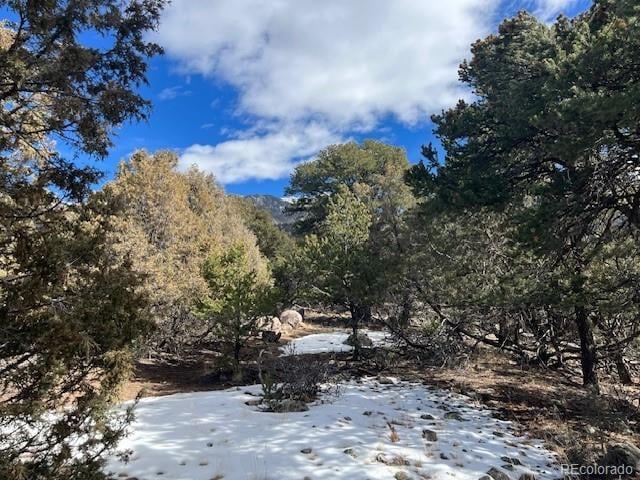 1286 Brookview Way, Crestone, CO 81131
