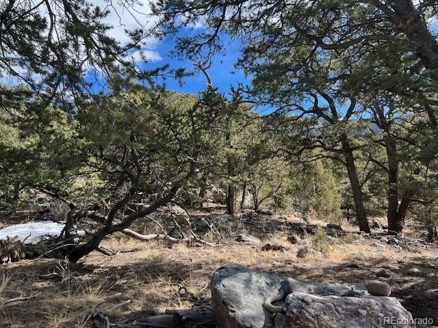 1286 Brookview Way, Crestone, CO 81131