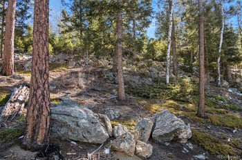 Granite Crag Cir, Evergreen, CO 80439