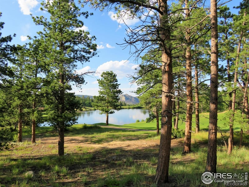 2 Fox Meadow Ln #2, Red Feather Lakes, CO 80545