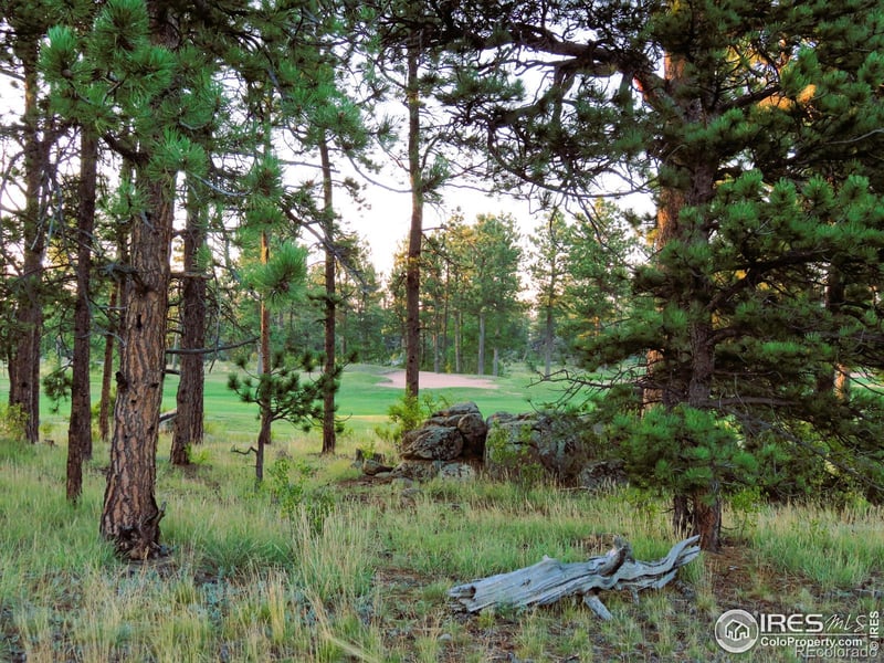 2 Fox Meadow Ln #2, Red Feather Lakes, CO 80545