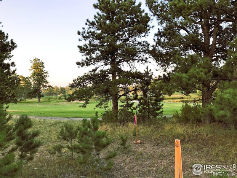 2 Fox Meadow Ln #2, Red Feather Lakes, CO 80545