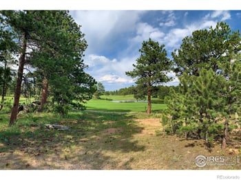 2 Fox Meadow Ln #2, Red Feather Lakes, CO 80545
