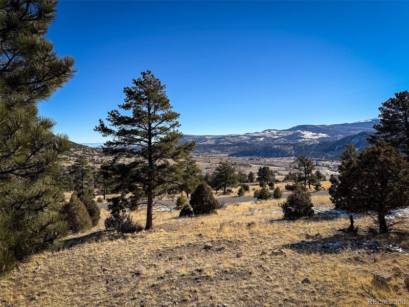 0 Ellingwood Dr, South Fork, CO 81154