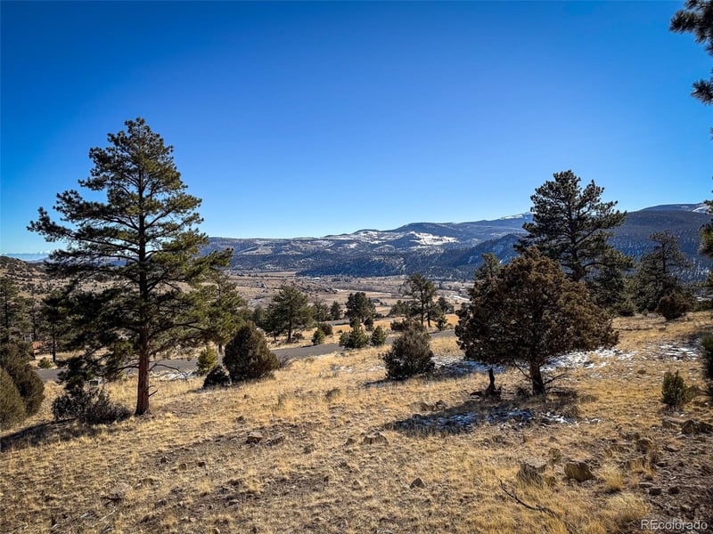 0 Ellingwood Dr, South Fork, CO 81154