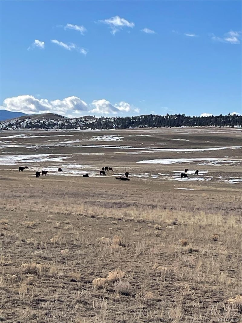 1260 Goldenburg Canyon Rd, Hartsel, CO 80449