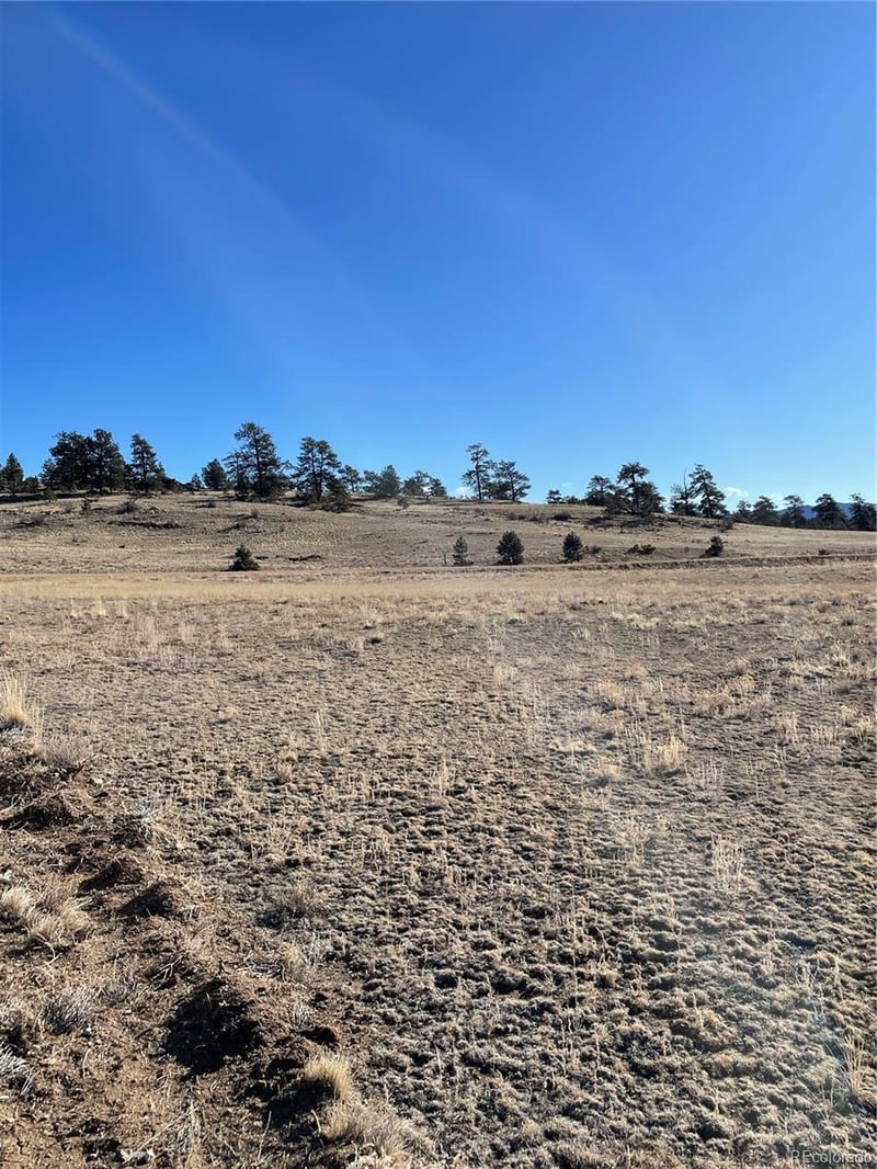 1260 Goldenburg Canyon Rd, Hartsel, CO 80449