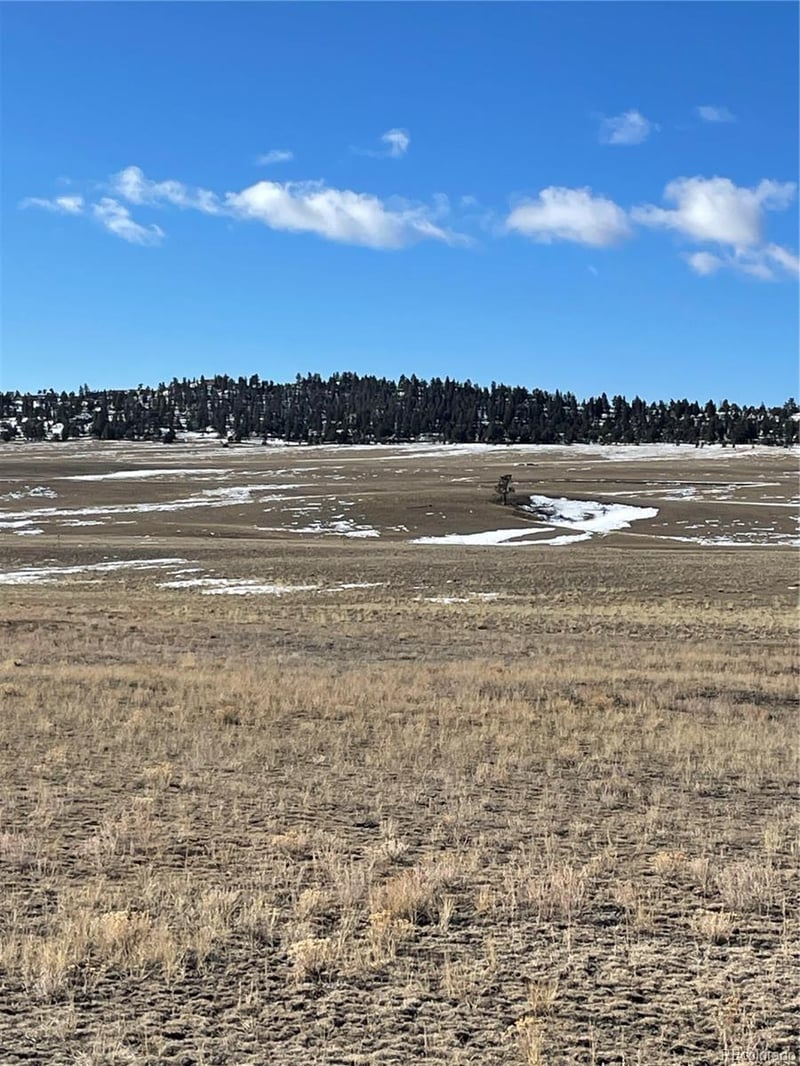 1260 Goldenburg Canyon Rd, Hartsel, CO 80449