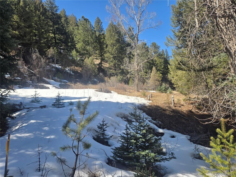 Fall River Rd, Idaho Springs, CO 80452