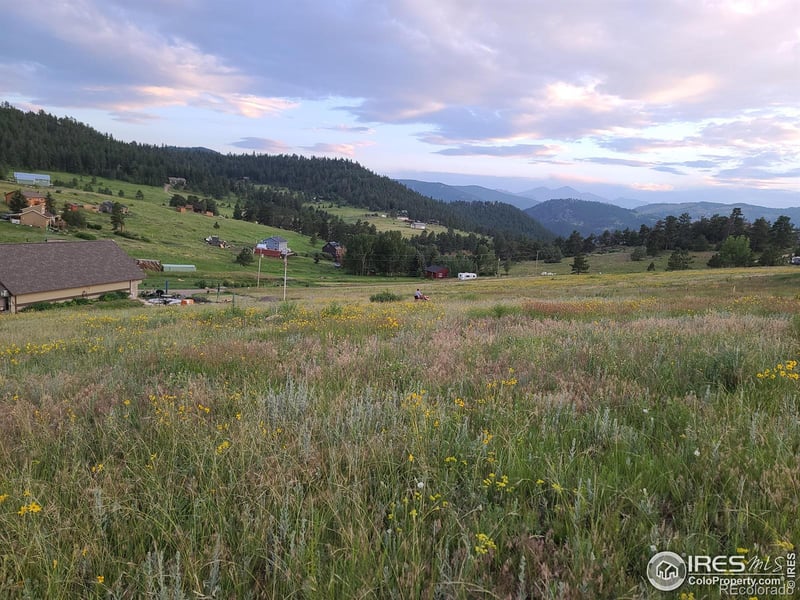 52 Buff Ct, Drake, CO 80515