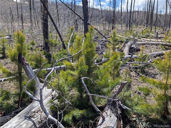 1945 Strauss Dr, Fort Garland, CO 81133