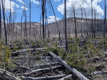 1945 Strauss Dr, Fort Garland, CO 81133