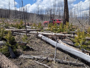 1945 Strauss Dr, Fort Garland, CO 81133