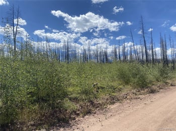 1637 Cary Ln, Fort Garland, CO 81133