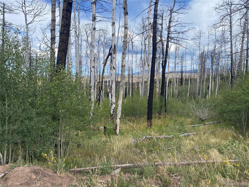 1923-1924 Korlkoff Ln, Fort Garland, CO 81133