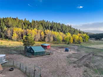 13116 S Noka Trl, Pine, CO 80470