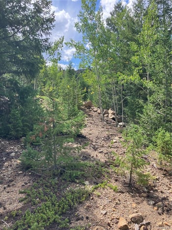 7 Miners Rd, Black Hawk, CO 80422