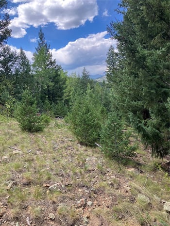 7 Miners Rd, Black Hawk, CO 80422
