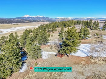 1559 Wagon Wheel Rd, Hartsel, CO 80449