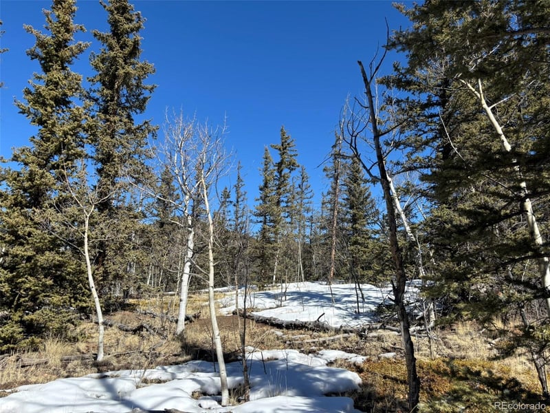 192 Bear Way, Como, CO 80432