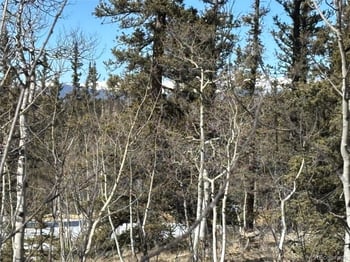 192 Bear Way, Como, CO 80432