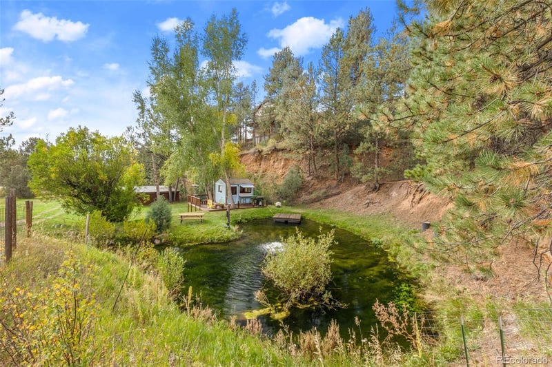 15349 Ouray Rd, Pine, CO 80470