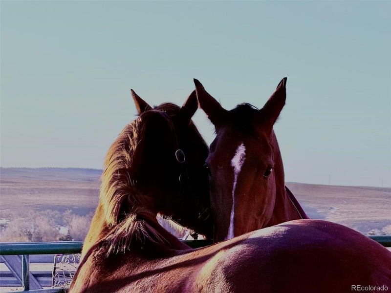 37670 County Road 69, Briggsdale, CO 80611