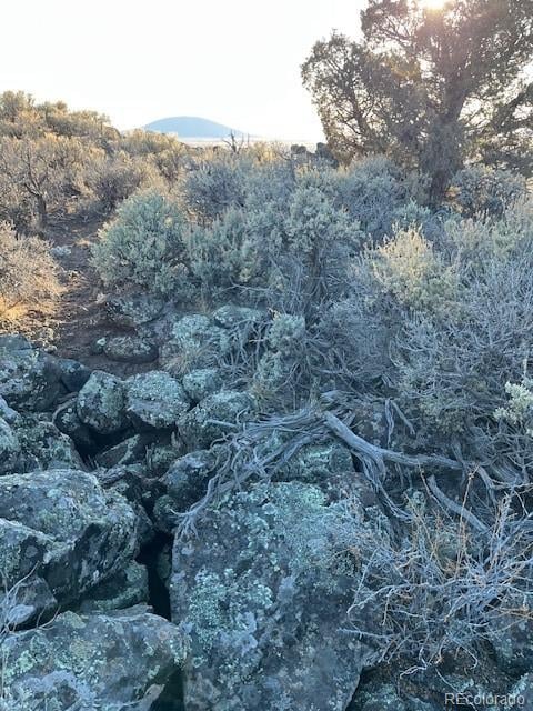 Tbd Wildhorse Dr, San Luis, CO 81152