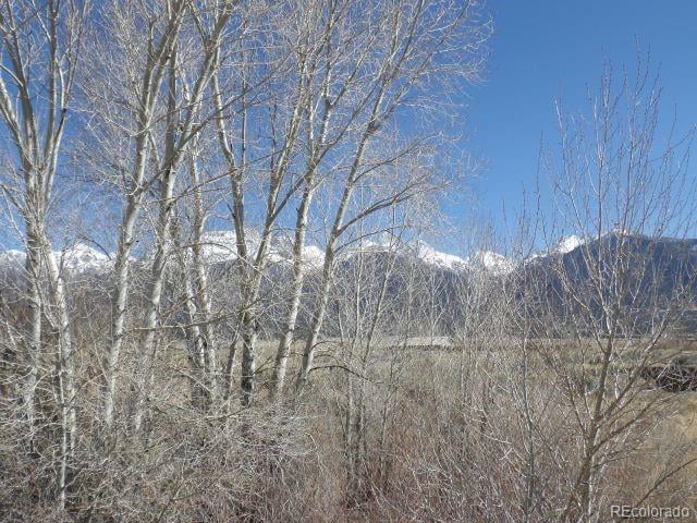 531 Hazelwood Trl, Crestone, CO 81131