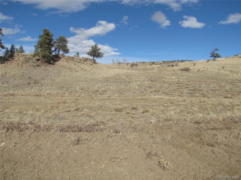 8808 County Road 53, Hartsel, CO 80449