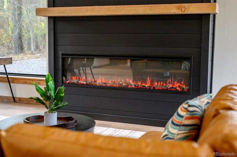 3538 High Creek Rd, Fairplay, CO 80440