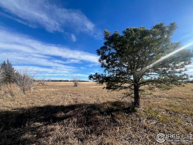 4820 County Rd H, Wiggins, CO 80654