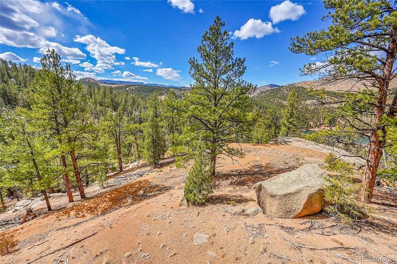 17016 Icehouse Ct, Pine, CO 80470