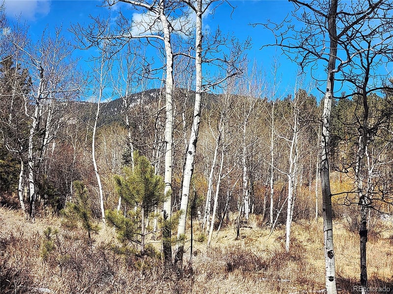 144 Gray St, Bailey, CO 80421