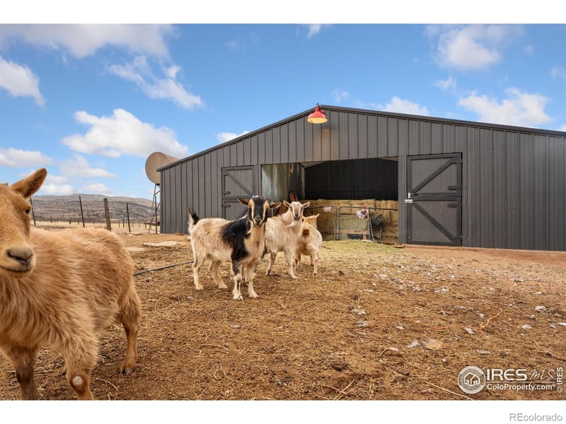 13185 Buckhorn Rd, Loveland, CO 80538