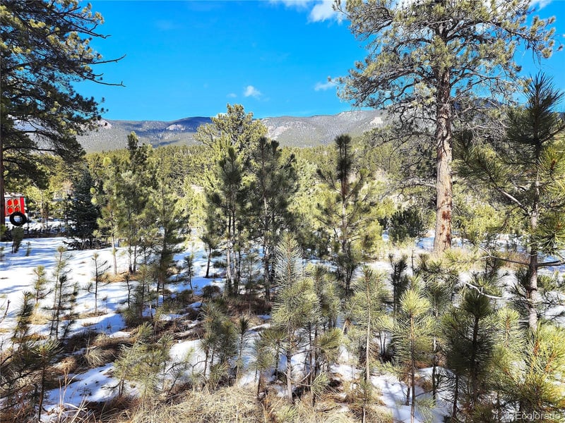 116 Neal St, Bailey, CO 80421